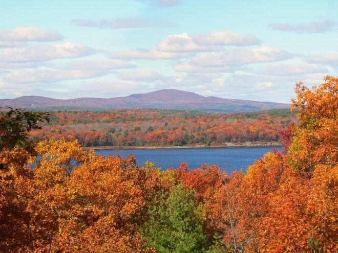 The New England Botanic Garden Day Trip From Boston - Limited-Time Art Exhibits