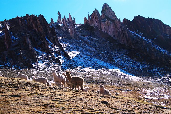 The New Rainbow Mountain of "Palcoyo" Light Route With Peru Vip - Experience Details