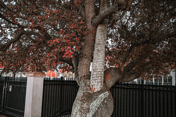 The Night Watchman Ghost Walking Tour - Tour Booking Information