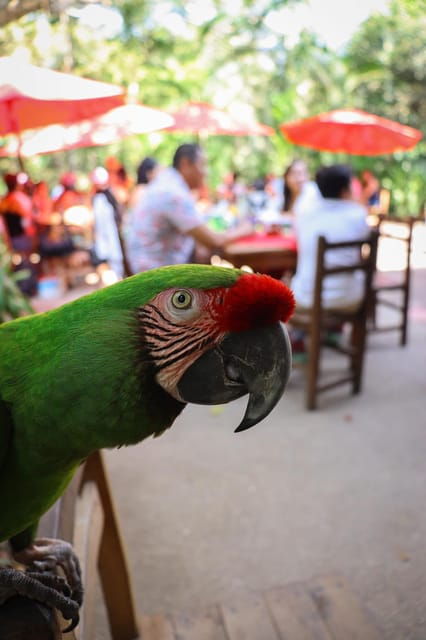 The Nogalito, Puerto Vallarta, Hiking Experience With Locals - Exploring the Nogalito Ecopark