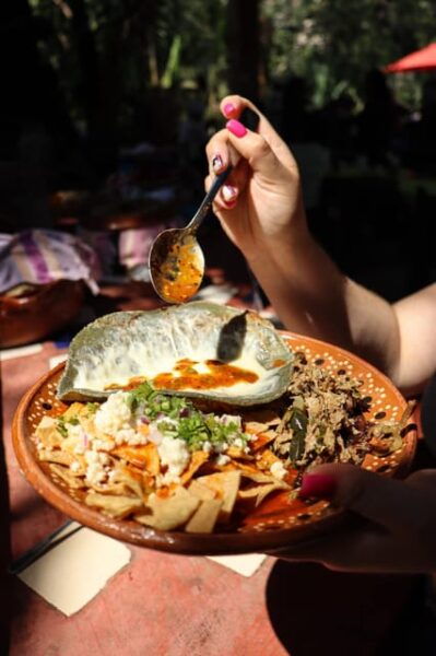 The Nogalito, Puerto Vallarta, Hiking Experience With Locals - Sustainable and Nature-Focused Tour