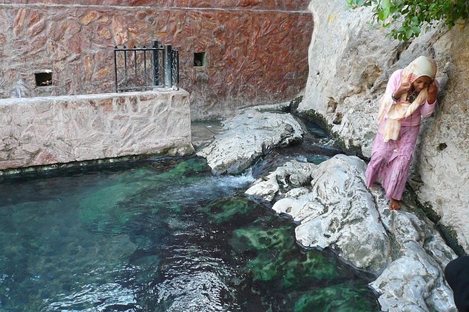 The North & Nakhl Half Day Tour From Muscat - Tour Schedule