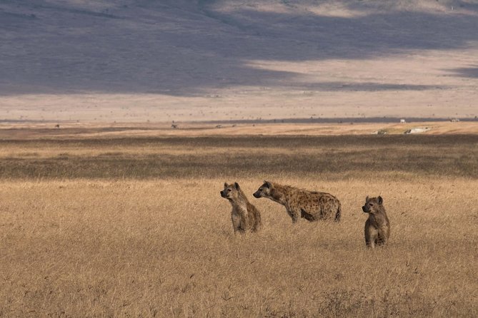 The Northern Tanzania Safari | 6 Day - Cultural Experiences