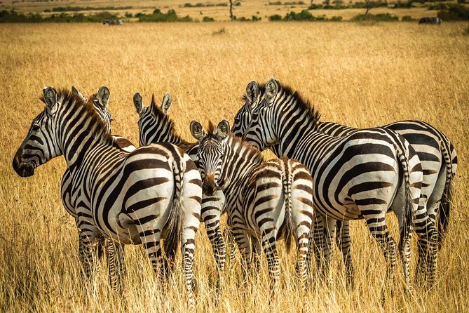 The Northern Tanzania Safari | 6 Day - Packing List Recommendations