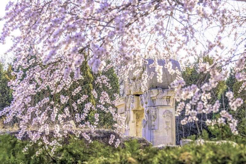 The Old Summer Palace (Yuanmingyuan) Ticket in Beijing - The route: from park gates to the Xiyanglou ruins