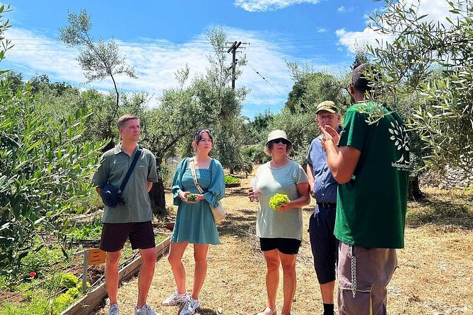 The Olive Oil Experience @ Lefkada Micro Farm - Overview and Inclusions