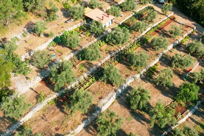 The Olive Oil Experience @ Lefkada Micro Farm - Cancellation Policy