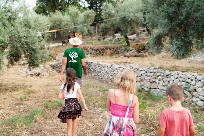 The Olive Oil Experience @ Lefkada Micro Farm - Transportation Options to the Farm