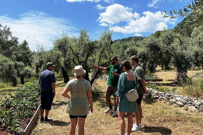 The Olive Oil Experience @ Lefkada Micro Farm - Accessibility and Facilities