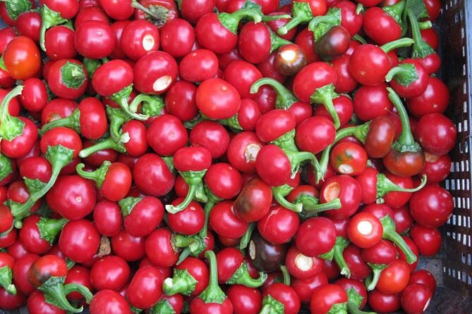 The One&Only Hot Farm Private Tasting Options - Frequently Asked Questions