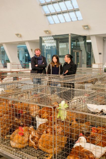 The Only Fish Market Tasting Tour, Sea to Table - Experience Highlights