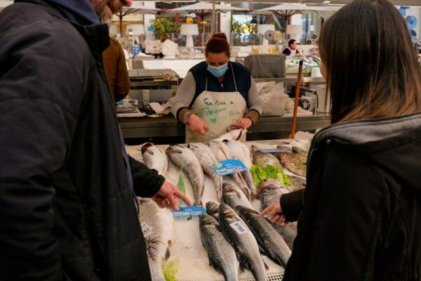 The Only Fish Market Tasting Tour, Sea to Table - The Sum Up