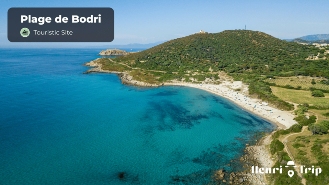 The Only Guide - Booking Process