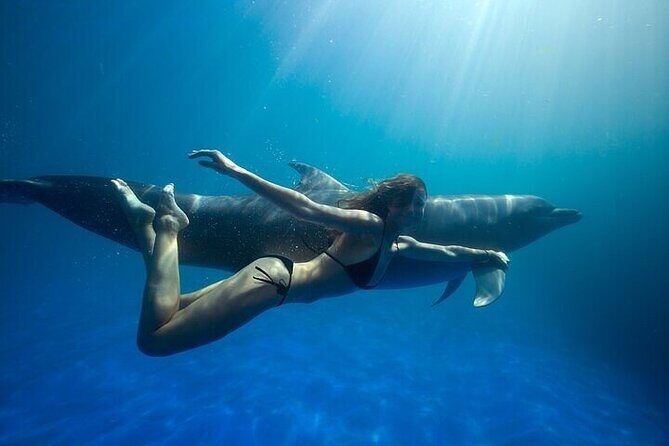 The only Natural Space Dolphin Encounter in Cabo Optional Pickup! - Good To Know