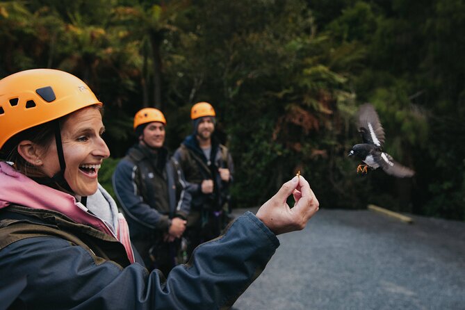 The Original Canopy Zipline Experience Private Tour From Auckland - Cancellation Policy