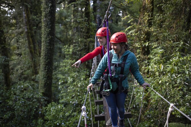 The Original Canopy Zipline Experience Private Tour From Auckland - Reviews and Questions
