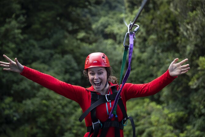 The Original Canopy Zipline Experience Private Tour From Auckland - The Sum Up