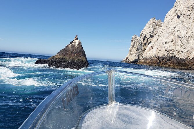 The Original Clear Glass-Bottom Boat at Cabo - Overview of the Clear Glass-Bottom Boat Tour
