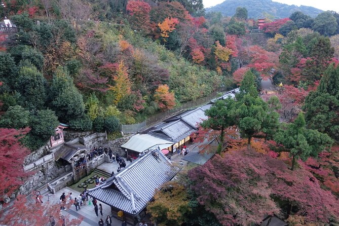 The Original Early Bird Tour of Kyoto. - Traveler Photos