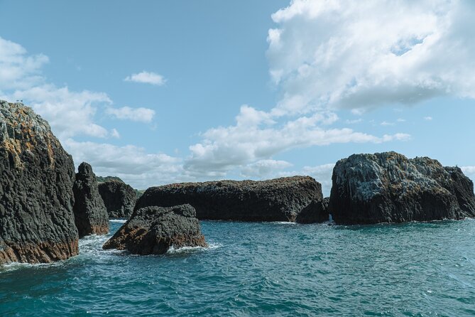 The Original Full Day Bay of Islands Cruise With Dolphins - Directions