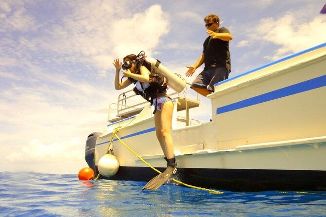 The Original Tiger Shark Challenge - Exploring the Experience in Detail  