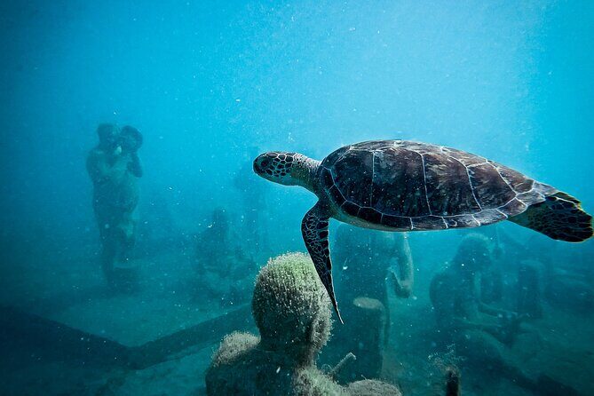 The Original Underwater Sculpture Park Snorkel Tour - Who Is This Tour Best For?