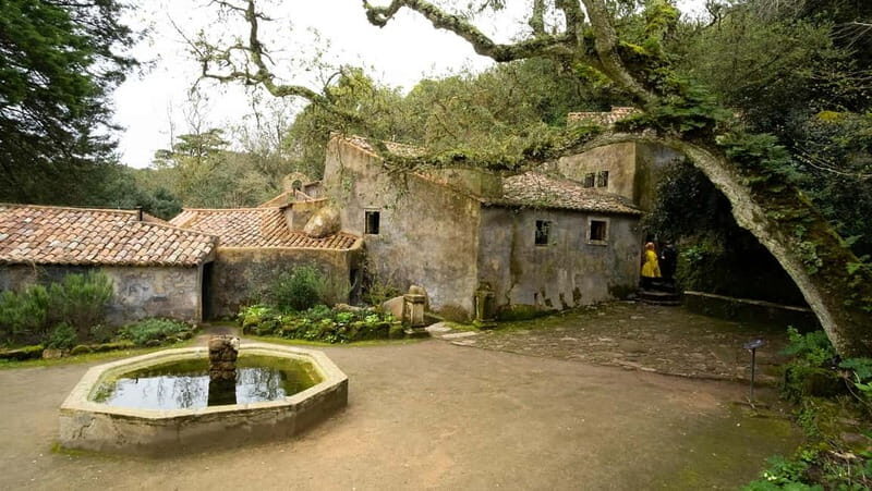 The Other Side of Sintra - Forgotten Woods Tour - FAQs