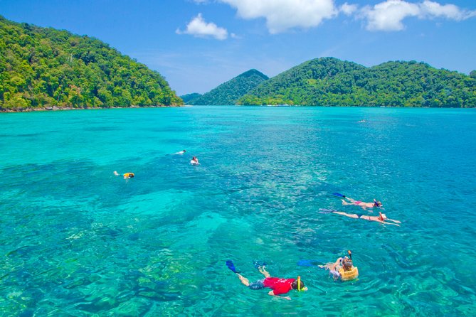 The Otherworldly Beauty of the Surin Islands - Biodiversity