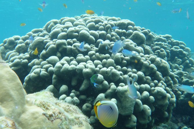 The Otherworldly Beauty of the Surin Islands - Common Questions