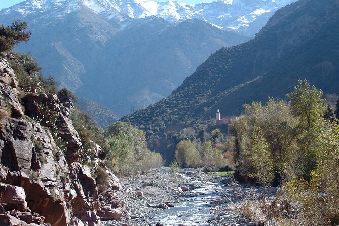 The Ourika Valley for a Day Trip - Local Cuisine and Dining Options