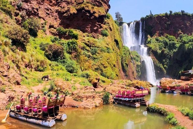 The Ouzoud Waterfalls: Day Trip From Marrakech - Meeting and Pickup