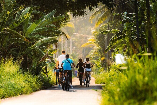 The Paddy and Lake Trail - What Do Reviewers Say?