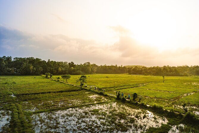 The Paddy Trail - Exploring the Full Experience of The Paddy Trail