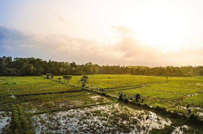 The Paddy Trail - FAQ