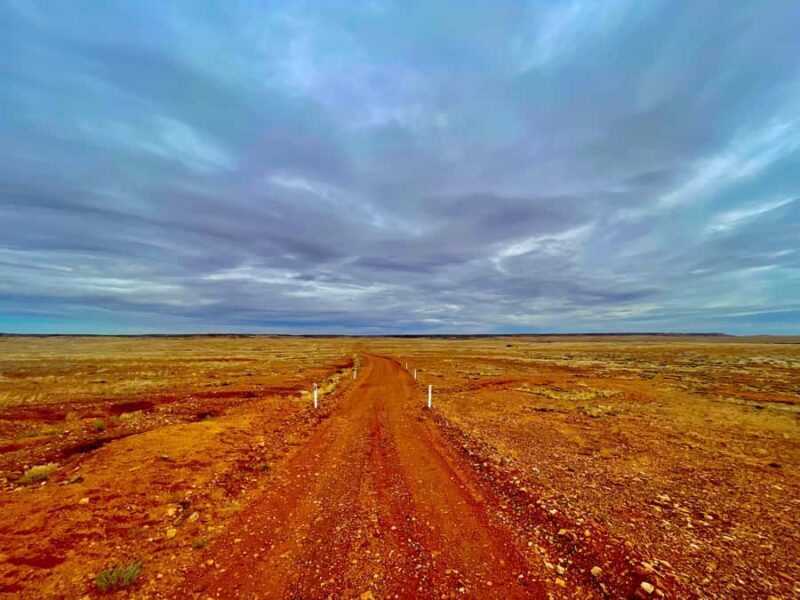 The Painted Desert Tour - What Real Travelers Say