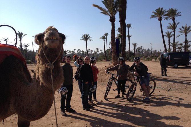 The Palmery Off-Road Bike Tour From Marrakech - Pricing and Booking Options