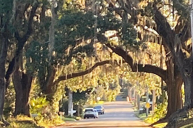The Palmetto Pioneers: A Self-Guided Monticello Walking Tour - Who Will Love This Tour?