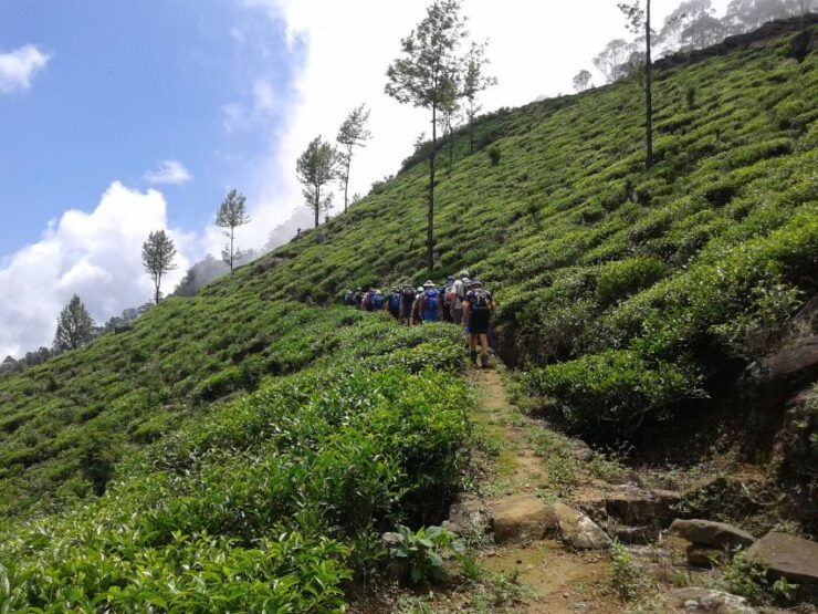 The Pekoe Trail, Stage 14,St. Catherine To Makulella - Activity Details