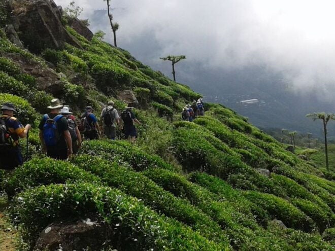 The Pekoe Trail, Stage 14,St. Catherine To Makulella - Trail Details