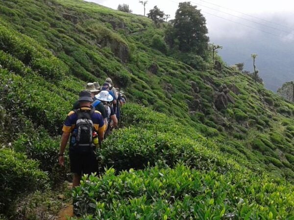 The Pekoe Trail, Stage 14,St. Catherine To Makulella - Important Tips
