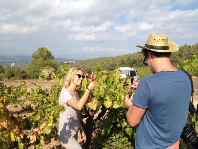 The Penedès: Cava Winery Small Group Tour - Vineyard and Cava Production