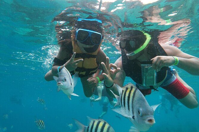 The Perfect Day in Chankanaab Park Cozumel - The Experience in Detail