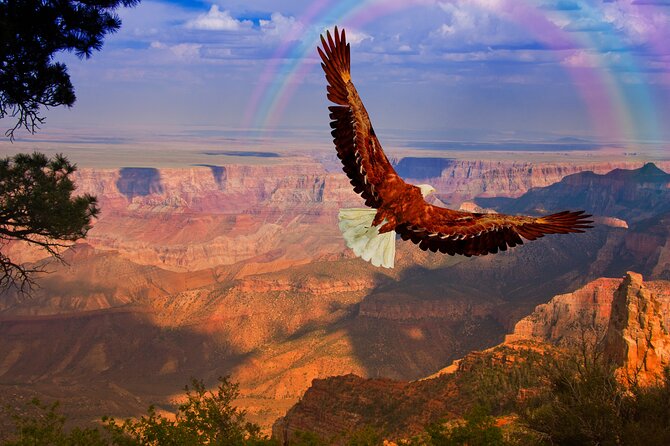 The Perfect Grand Canyon Tour With Local Expert Guides - Common Questions