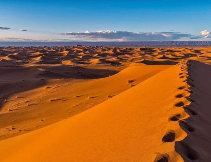The Pinacate: 4-Day Tour of the Craters and Altar Desert - Good To Know