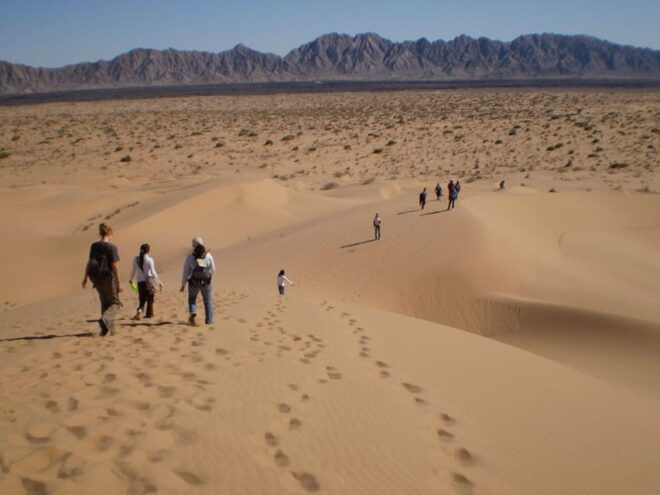The Pinacate: 4-Day Tour of the Craters and Altar Desert - Volcanic Landscape and Geological Wonders