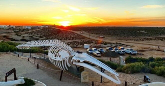 The Pinacate: 5-Day Tour to the Craters and the Altar Desert - Tour Inclusions