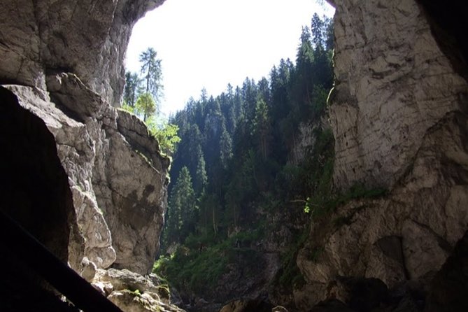 The Ponor Fortress (The Greatest Romanian Cave) 1 Day Tour From Oradea - Whats Included