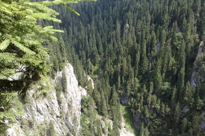 The Ponor Fortress (The Greatest Romanian Cave) 1 Day Tour From Oradea - Directions