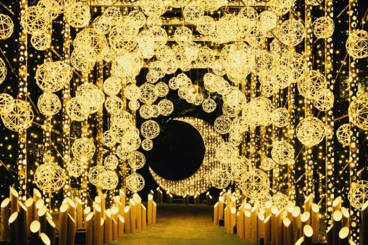 The Princess Kaguyas Glowing Garden in Sakuramachi Kumamoto - Good To Know