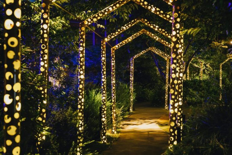 The Princess Kaguyas Glowing Garden in Sakuramachi Kumamoto - Ticket Details